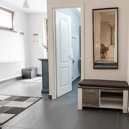 Apartament Hasdeu アパート
