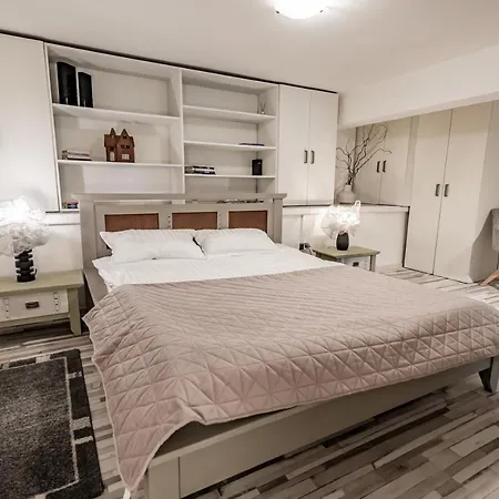 アパート Apartament Hasdeu *