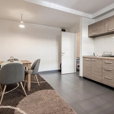 Apartament Hasdeu アパート *